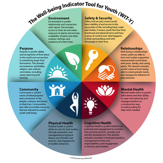 Well-being Indicator Tool for Youth (WIT-Y)