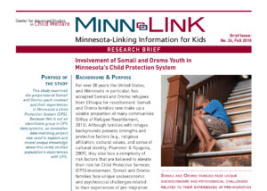 screenshot of the cover for Minn-LInK Brief #36