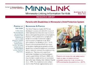 Minn-LInK Brief Number 64 cover